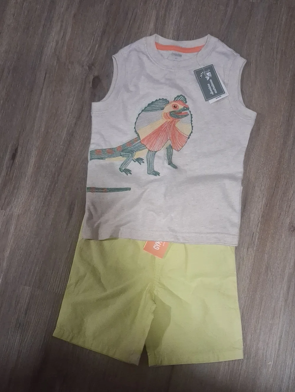 Nwt Gymboree Lot Shorts Tank Top